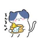 毎日かわいいねこさんズ（個別スタンプ：13）