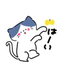 毎日かわいいねこさんズ（個別スタンプ：16）