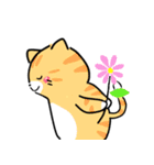 毎日かわいいねこさんズ（個別スタンプ：21）
