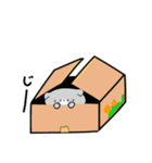 毎日かわいいねこさんズ（個別スタンプ：29）