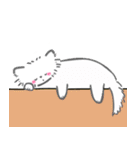 毎日かわいいねこさんズ（個別スタンプ：37）