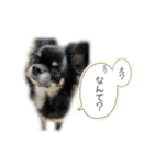 ROY Theo（個別スタンプ：7）