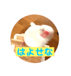もちもちつくねスタンプ3（個別スタンプ：13）