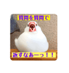 もちもちつくねスタンプ3（個別スタンプ：19）