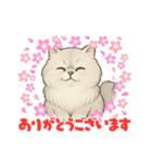 『ペルシャ猫』のスタンプ（個別スタンプ：1）