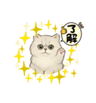『ペルシャ猫』のスタンプ（個別スタンプ：5）