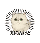 『ペルシャ猫』のスタンプ（個別スタンプ：6）