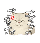 『ペルシャ猫』のスタンプ（個別スタンプ：8）