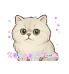 『ペルシャ猫』のスタンプ（個別スタンプ：10）