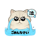 『ペルシャ猫』のスタンプ（個別スタンプ：11）