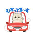 『ペルシャ猫』のスタンプ（個別スタンプ：12）
