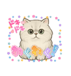 『ペルシャ猫』のスタンプ（個別スタンプ：25）