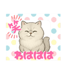 『ペルシャ猫』のスタンプ（個別スタンプ：26）