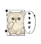 『ペルシャ猫』のスタンプ（個別スタンプ：27）