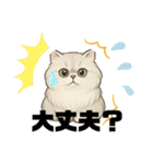 『ペルシャ猫』のスタンプ（個別スタンプ：28）
