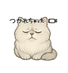 『ペルシャ猫』のスタンプ（個別スタンプ：30）