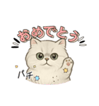 『ペルシャ猫』のスタンプ（個別スタンプ：31）