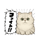 『ペルシャ猫』のスタンプ（個別スタンプ：33）