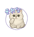 『ペルシャ猫』のスタンプ（個別スタンプ：34）