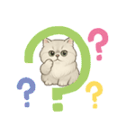 『ペルシャ猫』のスタンプ（個別スタンプ：37）