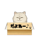 『ペルシャ猫』のスタンプ（個別スタンプ：38）