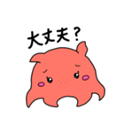 タコーズ かわいいメンダコ 日常ver.（個別スタンプ：15）
