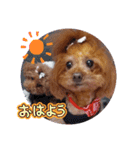 ange⑪（個別スタンプ：5）