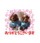 ange⑪（個別スタンプ：26）