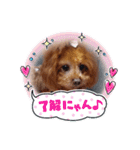 ange⑪（個別スタンプ：27）
