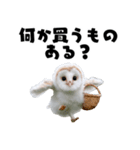 フクロウの赤ちゃん♡家族で使える連絡用（個別スタンプ：10）