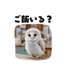 フクロウの赤ちゃん♡家族で使える連絡用（個別スタンプ：21）