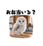 フクロウの赤ちゃん♡家族で使える連絡用（個別スタンプ：22）