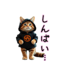服を着たリアルな猫キャラ達のスタンプ友編（個別スタンプ：9）