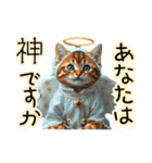 服を着たリアルな猫キャラ達のスタンプ友編（個別スタンプ：20）