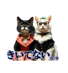 服を着たリアルな猫キャラ達のスタンプ友編（個別スタンプ：23）