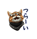 服を着たリアルな猫キャラ達のスタンプ友編（個別スタンプ：24）