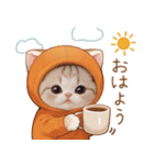 スコティッシュ猫 みかんネコ 毎日思いやり（個別スタンプ：1）