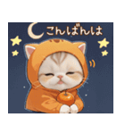 スコティッシュ猫 みかんネコ 毎日思いやり（個別スタンプ：3）