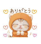 スコティッシュ猫 みかんネコ 毎日思いやり（個別スタンプ：4）