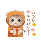 スコティッシュ猫 みかんネコ 毎日思いやり（個別スタンプ：5）