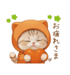 スコティッシュ猫 みかんネコ 毎日思いやり（個別スタンプ：9）