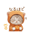 スコティッシュ猫 みかんネコ 毎日思いやり（個別スタンプ：16）