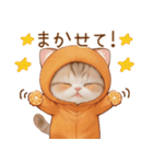 スコティッシュ猫 みかんネコ 毎日思いやり（個別スタンプ：17）
