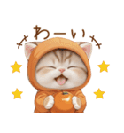 スコティッシュ猫 みかんネコ 毎日思いやり（個別スタンプ：19）