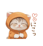 スコティッシュ猫 みかんネコ 毎日思いやり（個別スタンプ：21）