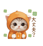 スコティッシュ猫 みかんネコ 毎日思いやり（個別スタンプ：22）