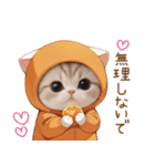 スコティッシュ猫 みかんネコ 毎日思いやり（個別スタンプ：23）