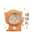 スコティッシュ猫 みかんネコ 毎日思いやり（個別スタンプ：24）