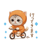スコティッシュ猫 みかんネコ 毎日思いやり（個別スタンプ：28）