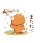 スコティッシュ猫 みかんネコ 毎日思いやり（個別スタンプ：31）